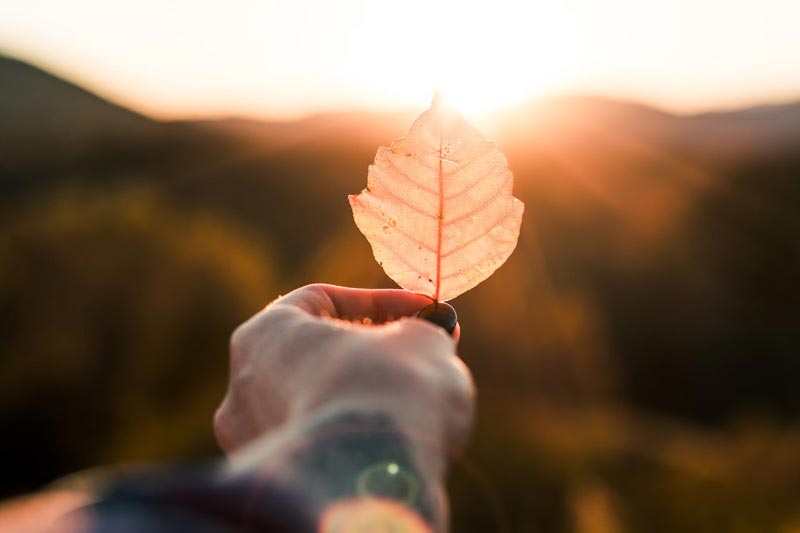创意网站建设的重要性